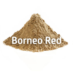 Borneo Red