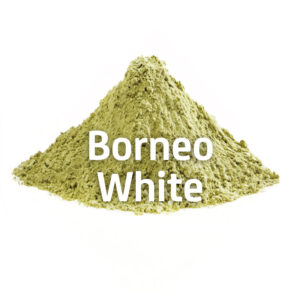 Borneo White