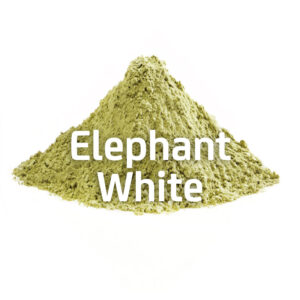 Elephant White