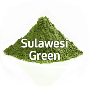 Sulawesi Green